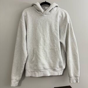 Aritzia Cozy Fleece Perfect Hoodie- L